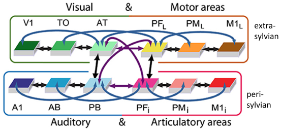 Figure showing the connectivity between the twelve model areas.